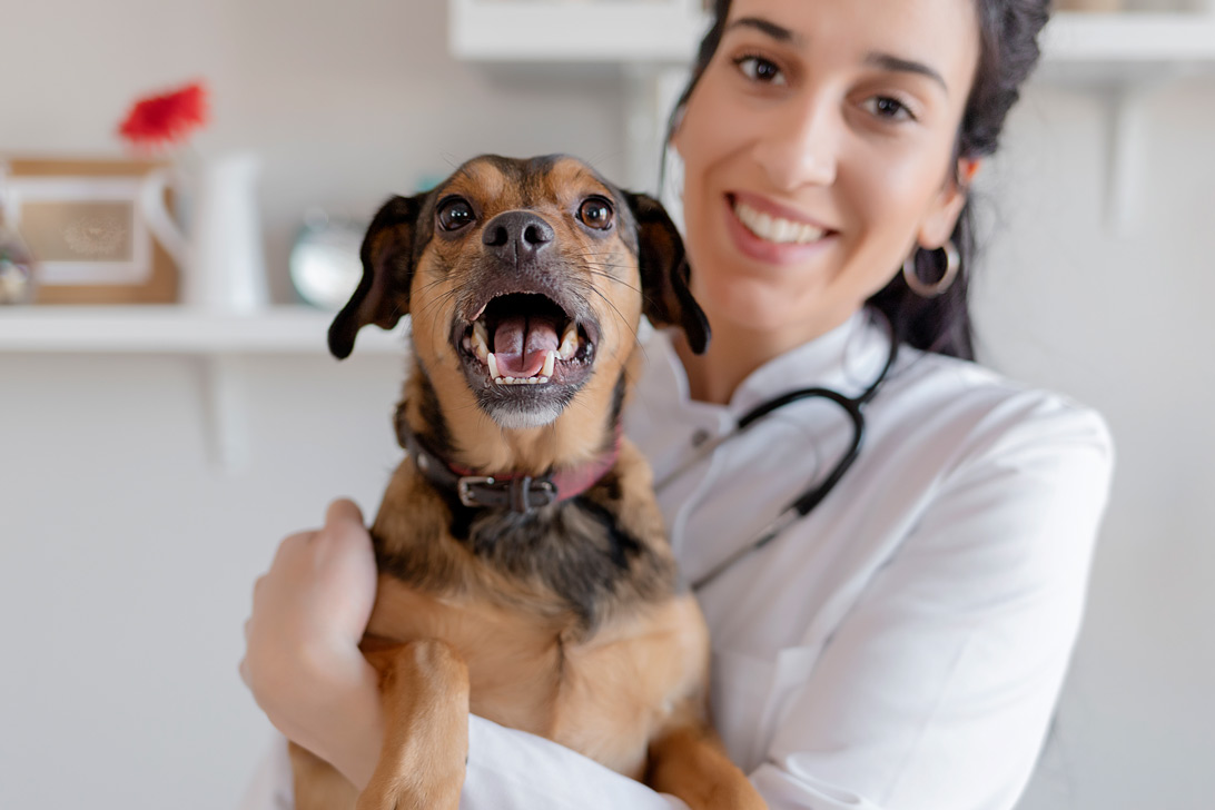 Compounded Medications For Pets & Animals